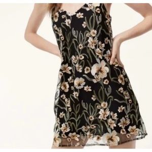 Aritzia Little Moon Cheyenne Dress size large